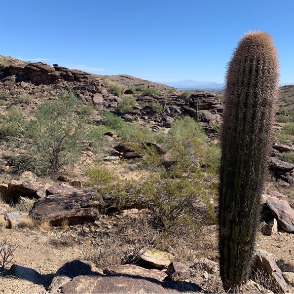 Meet your Posher, Alex - Picture 4 of 5